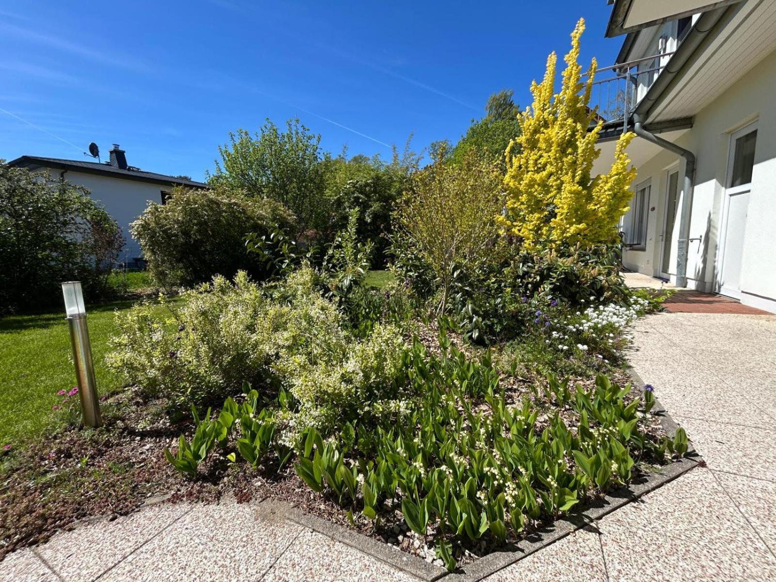 Ferienwohnungen Tannengrund Loddin Exterior foto
